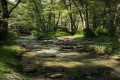 diarizos river cyprus