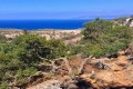 aphrodite nature trail