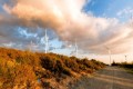 oreites windmill farm