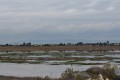 paralimni lake famagusta