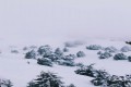 troodos mountains