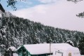 troodos winter