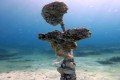 underwater sculpture park ayia napa