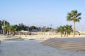 larnaca finikoudes beach