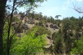 forest-troodos