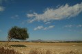 mazotos village cyprus